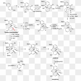 Gates Synthesis - Simple Synthesis Of Morphine, HD Png Download - nah png