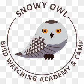 Owl, HD Png Download - snowy owl png