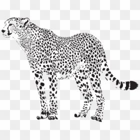 Leopard Clipart Cheetahclip, HD Png Download - cheetah running png