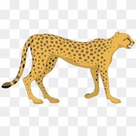 Transparent Clipart Of Animals - Cheetah Clipart, HD Png Download - cheetah running png