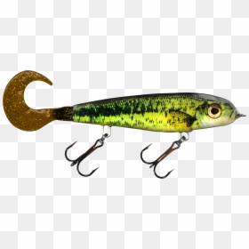 Largemouth Bass , Png Download - Fish, Transparent Png - large mouth bass png
