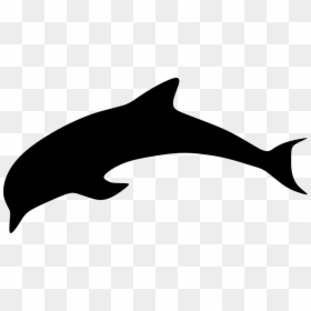 Delfin Obrys Clipart , Png Download - Obrys Delfína, Transparent Png - delfin png