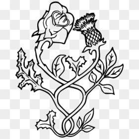 Thistle Rose Tattoo Scotland Drawing - Scottish Thistle Image Tattoo, HD Png Download - thistle png
