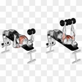 Decline Dumbbell Bench Press, HD Png Download - bench press png