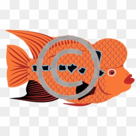 Fish, HD Png Download - goldfish png