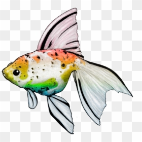 Bony-fish, HD Png Download - goldfish png