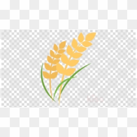 Rice Plant Clipart Png, Transparent Png - rice png