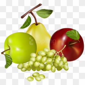 Mix Fruit Vector Png, Transparent Png - fruits png