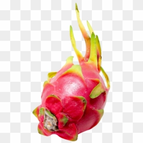 Dragonfruit Png, Transparent Png - fruits png