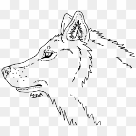 Wolf Head Line Drawing, HD Png Download - wolf head png