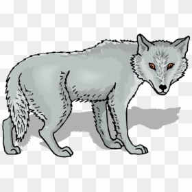 Grey Wolf Clipart, HD Png Download - wolf head png