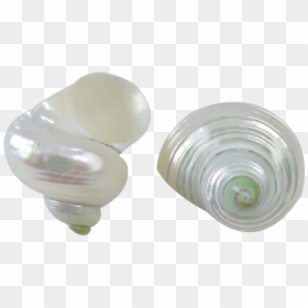 Earrings, HD Png Download - turban png