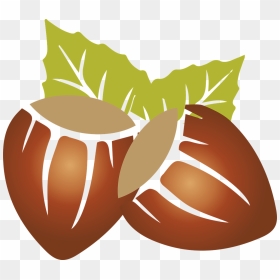 Hazelnut Clipart, HD Png Download - dry fruits png