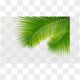Transparent Palm Leaves Png, Png Download - palms png