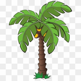 Trees And Plants Clipart, HD Png Download - palms png