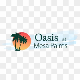 Palm Tree, HD Png Download - palms png