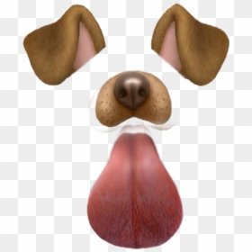 Companion Dog, HD Png Download - dog filter png