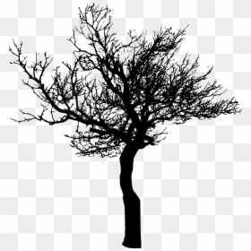 Tree Silhouette Transparent Background, HD Png Download - forest silhouette png