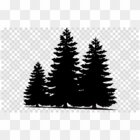 Pine Trees Silhouette Png, Transparent Png - forest silhouette png