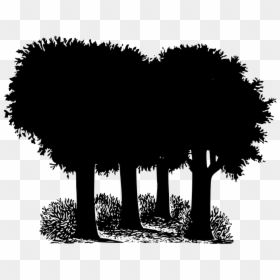 Vector Graphics, HD Png Download - forest silhouette png