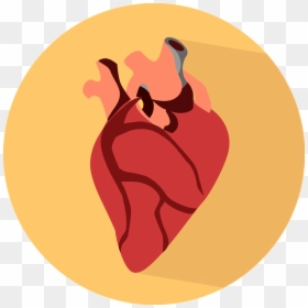Human Heart Icon Png, Transparent Png - human heart png