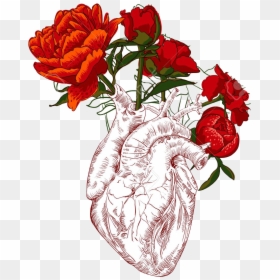 Draw Human Heart With Flowers, HD Png Download - human heart png