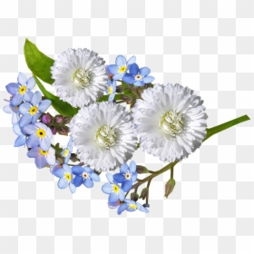 White And Blue Flowers Transparent, HD Png Download - white flowers png