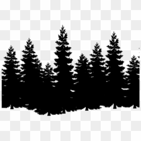 Black And White Pine Trees, HD Png Download - forest silhouette png