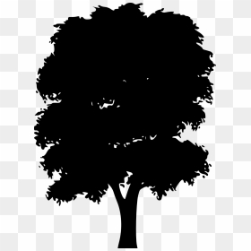 Png Vector Tree Silhouette, Transparent Png - forest silhouette png