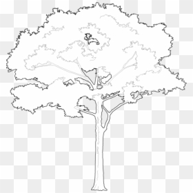 Tree Vector Png White, Transparent Png - forest silhouette png