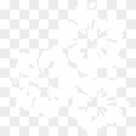White Hibiscus Clip Art, HD Png Download - white flowers png