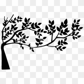 Tree With Leaves Black And White, HD Png Download - forest silhouette png