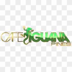 Cafe Iguana Pines Logo, HD Png Download - dj khaled png