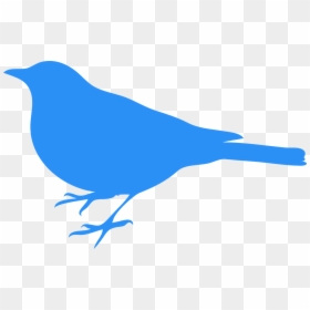 Bird Silhouette Clip Art, HD Png Download - bluebird png