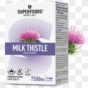 Milk Thistle - Superfoods Milk Thistle, HD Png Download - thistle png