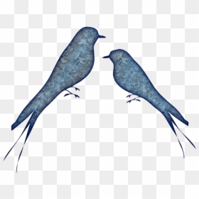 Mountain-bluebird - Bird, HD Png Download - bluebird png