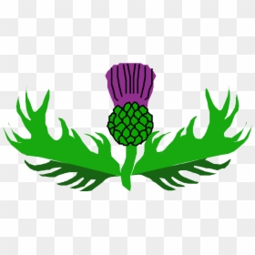 Thistle - Clip Art, HD Png Download - vhv