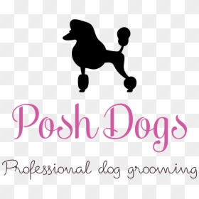 Posh Dogs Is Situated In Sileby, Leicestershire - Standard Poodle, HD Png Download - posh png