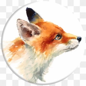 Fox Side View Drawing, HD Png Download - popsocket png