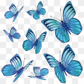 Thumb Image - Butterfly, HD Png Download - papillon png