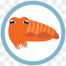 Clip Art, HD Png Download - cuttlefish png