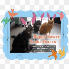 Happy Easter From The Easter Cats - Squitten, HD Png Download - mad cat png