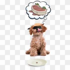 Dog, HD Png Download - bubble puppy png