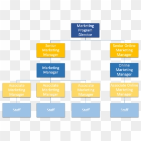 Google Marketing Department Structure, HD Png Download - walmart store png