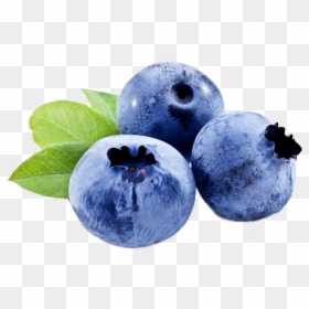 Transparent Blueberries Png - Blueberry Closeup 3, Png Download - blue berry png