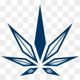 Hollister Cannabis Co, HD Png Download - hollister png