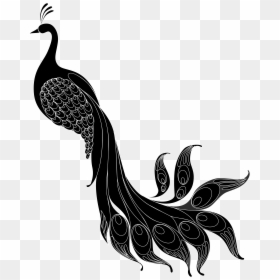 Pheasant Vector Abstract - Illustration, HD Png Download - pheasant png