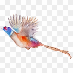 Jsquarepresents Flying Pheasant Clip Art, HD Png Download - pheasant png