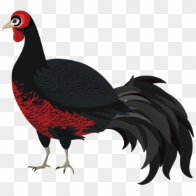Pheasant, HD Png Download - pheasant png