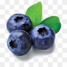 Blueberries Png Image File - All Imported Fruits, Transparent Png - blue berry png